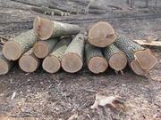 Продажа дров круглого леса (в ящиках,  сетках). - foto 2