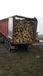 Продажа дров круглого леса (в ящиках,  сетках). - foto 6