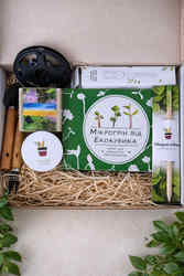 Квітучі подарункові набори на 8 березня. EcoBloom - foto 2