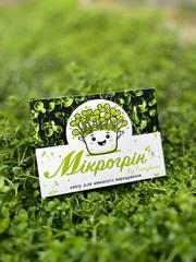 Еко-рішення: корпоративні подарунки на 8 березня з логотипом - foto 1